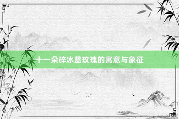 十一朵碎冰蓝玫瑰的寓意与象征