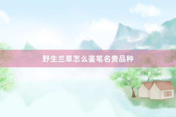 野生兰草怎么鉴笔名贵品种