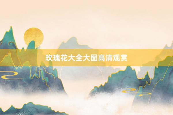 玫瑰花大全大图高清观赏