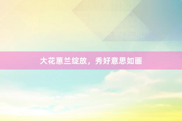 大花蕙兰绽放，秀好意思如画