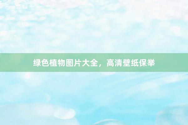 绿色植物图片大全，高清壁纸保举